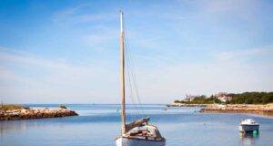 Unique Elephant Experience