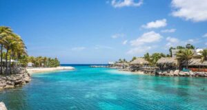 Worst Things to Tell a Flight Attendant